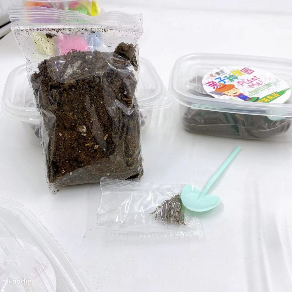 Traje de plantación padre-hijo al por mayor traje de experimento científico padre-hijo clase manual jardín de infantes niños hecho a mano DIY