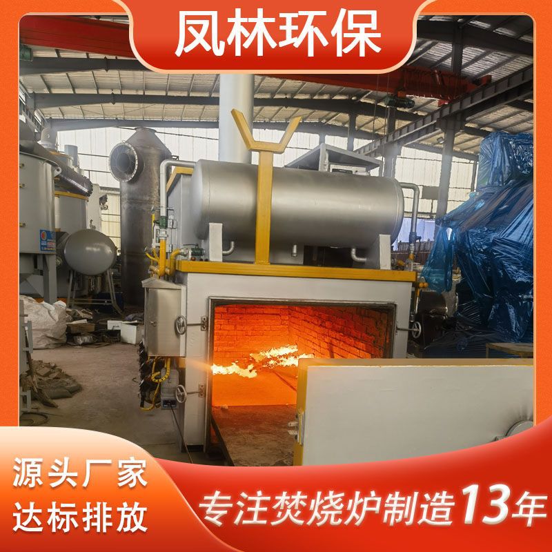 屠宰场垃圾焚烧炉 厂家宠物火化炉设备 小型牲畜高温热解汽化炉