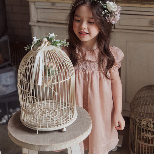 Ladies' Dress 2024 Summer Strawberry Sandy Korean French Ladylike and Starry Girls' Dress Pre-sale
