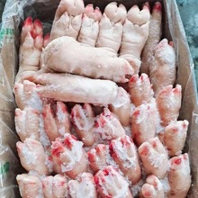 新鲜带筋前蹄冷冻猪蹄生鲜净重19.5斤猪脚猪手烧烤食材卤味店商用
