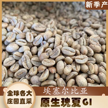 進口新產季咖啡生豆 埃塞俄比亞班奇馬吉日曬原生瑰夏G1生豆500克