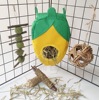 Nibbler, rabbit, pet, corn kernels, clips included