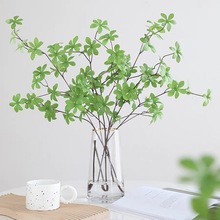 �ձ�����֦����ֲ��廨�ڼ�����ľ���������װ��Ʒ�ٻ���ֲ����
