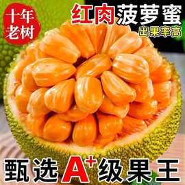 【正宗】越南菠萝蜜一整个进口水果干苞新鲜水果黄肉红心直发
