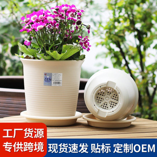 �����z�Ӻ��֬�L��������մ����϶���Gֲ�m������Nֲ��