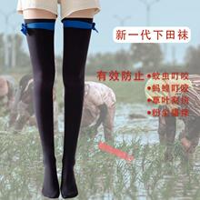 ?�Ӻ������Λ���L�m��ˮ�λ�Λρ����������������m���^ϥ�m�N