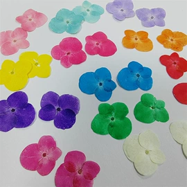 植物工艺品;工艺原料;干花