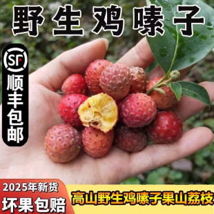 ��ϸ�ɽҰ���u��ӹ��������rˮ��ϡ������ɽ��֦�������S