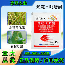 燕化扫飞80%烯啶吡蚜酮水分散粒剂水稻稻飞虱百合蚜虫专用杀