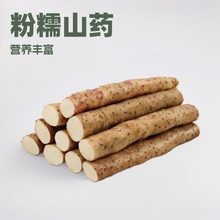 新鲜山药小白嘴代发批发5斤包邮河北铁杆铁棍山药非垆土淮批发