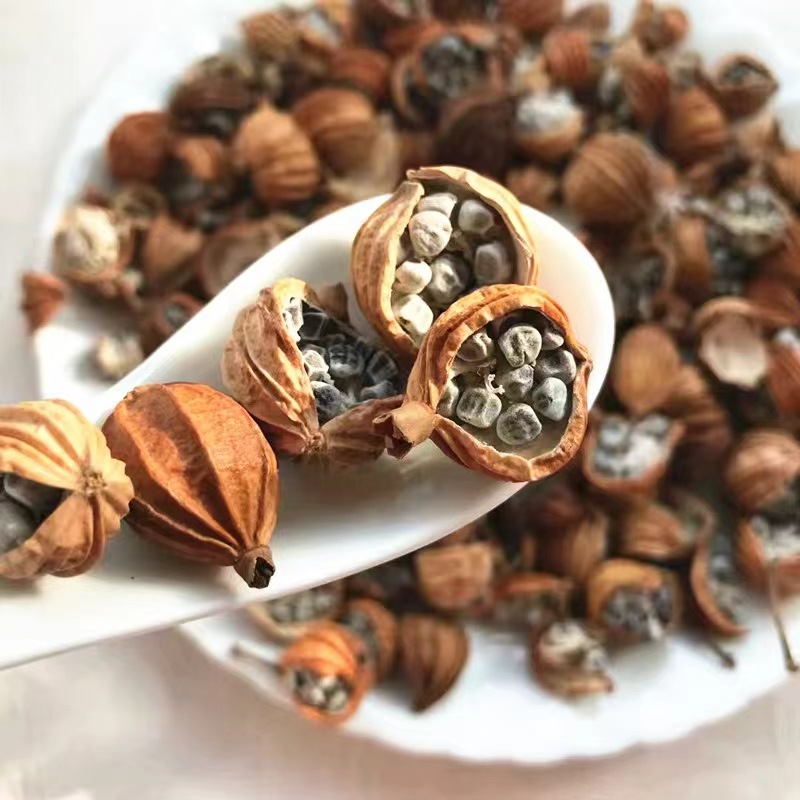 Bulk Sichuan Congkou Xiangsha 500g from High-Quality Origin, Pure Fragrant Sand Powder Seasoning