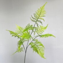 禅意古风摆放仿真绿植天冬文竹 网红民宿装饰仿真云片松刺蕨草