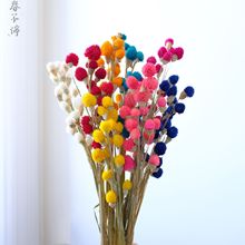 草莓果干花 千日红招财花干花花束diy手工花材装饰摆件厂家批发