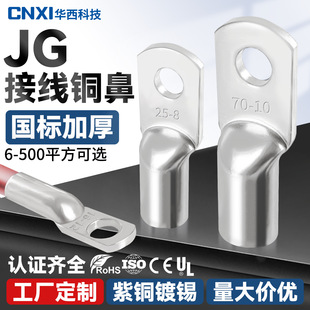 Cnxi Huaxi Technology Jg Copper Nose National Standard Terminal Block Copper Thickeneded Marine Cold-Pressed Wire Nose Cable Copper Wire