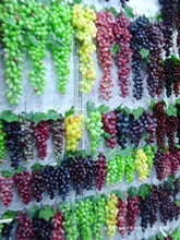 �������Ѵ��b����ϾG���~�������ٗlˮ�������[��ֲ����