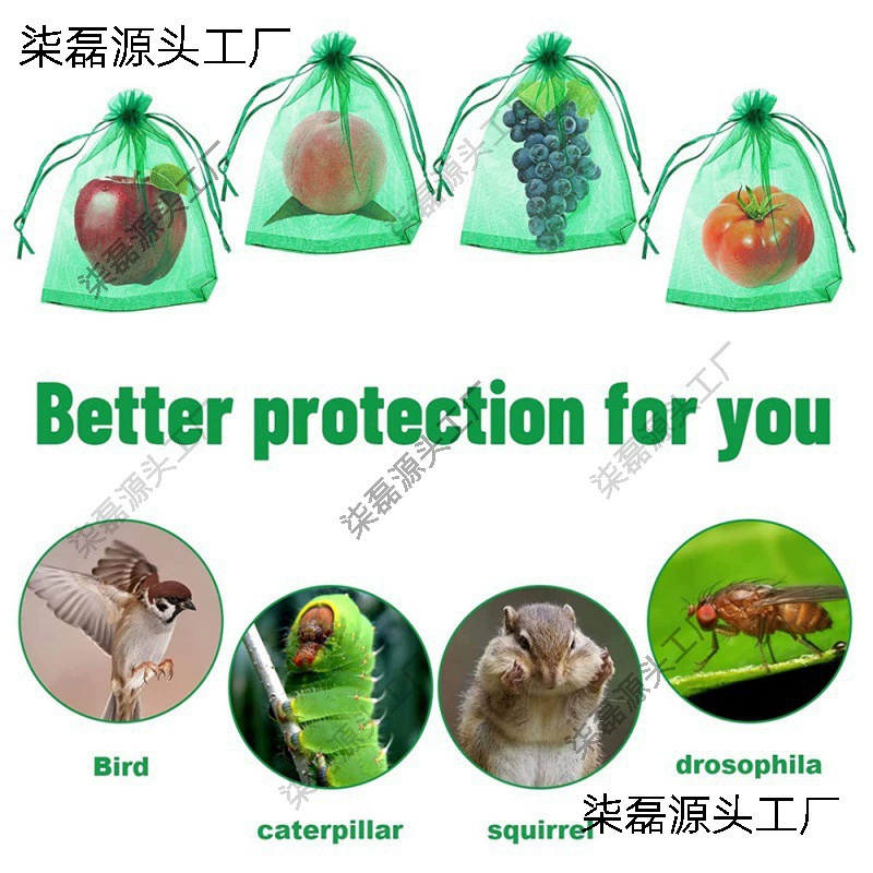 Fruit Protection Bag Фрукты Виноградная ягода