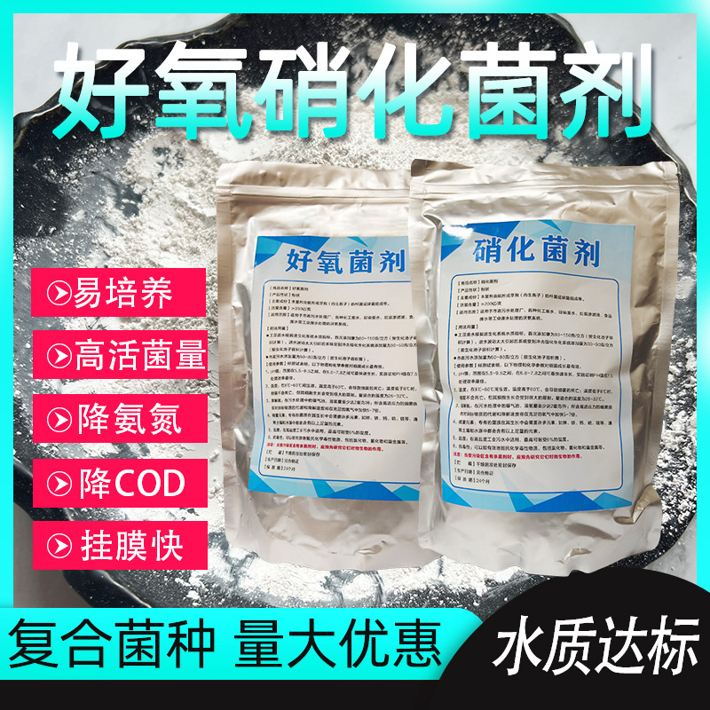 复合菌种降氨氮cod污水处理生化好氧厌氧池硝化反硝化生物菌种