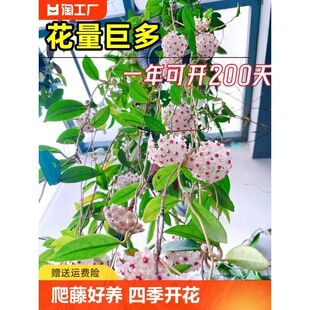 ���m�����Դ��紹����m�����ļ��_�����҃����پGֲ����m����