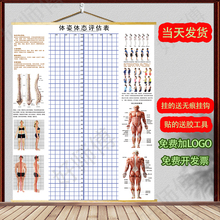 体态评估图健身房体测表瑜伽私教站姿形体脊椎身体装饰民族风