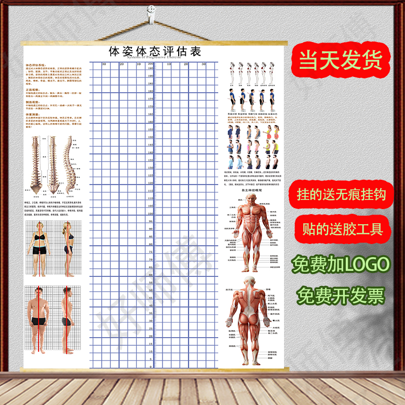 ?体态评估图健身房体测表瑜伽私教站姿形体脊椎身体装饰