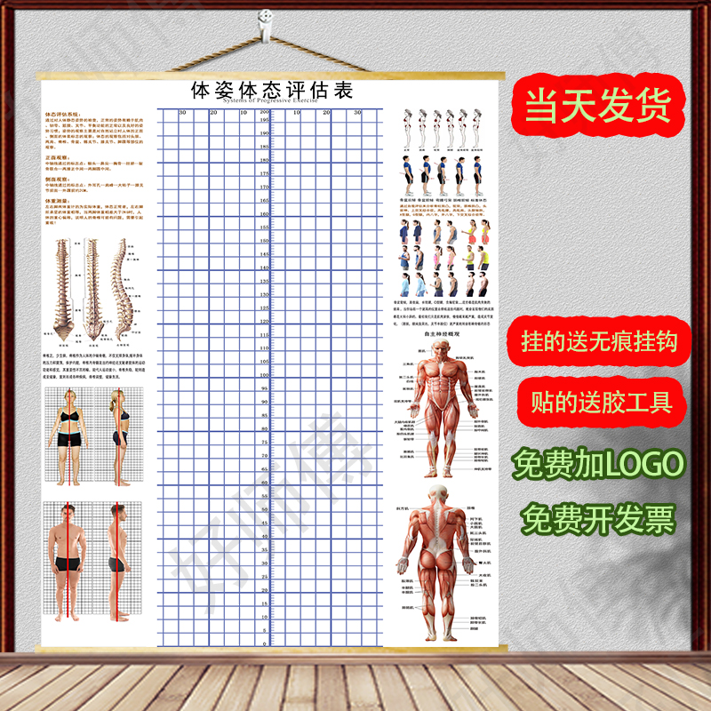 体态评估图健身房体测表瑜伽私教站姿形体脊椎身体装饰民族风