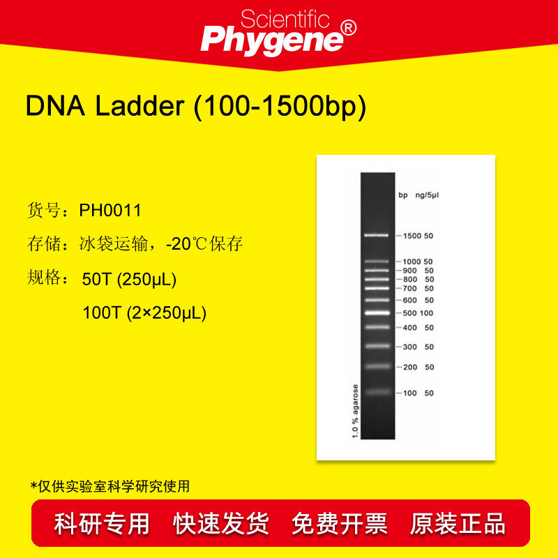 DNA ladder (100-1500bp) DNA Marker 100T [PH0011 PHYGENE]