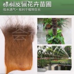 棕树皮棕榈树皮山棕片棕毛绿萝棒鱼苗孵化产卵园林花卉盆景绿化
