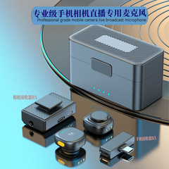 プライベートモデル 2025 国境を越えた新しい磁気ラベリアワイヤレスマイク携帯電話カメラライブブロードキャスト専用 AI 強力なノイズリダクション