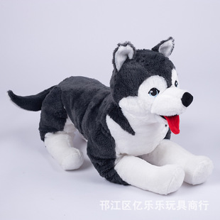 �羳���N����ë�q��߽�ë��ʿ��ܛ�w�ɐ۹��б�����ż���նY��