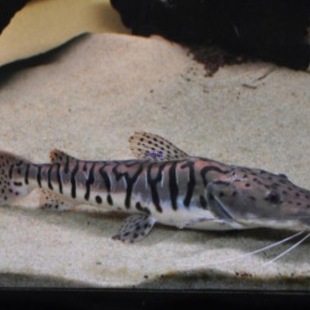 �����������~���w���y�����~��ˮ���~�������͟Ꭷ�^�p�~���]����