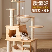 ��ľ؈���ܼ���؈�C؈��һ�w̫��œС����؈���Ӿ����؈؈�����