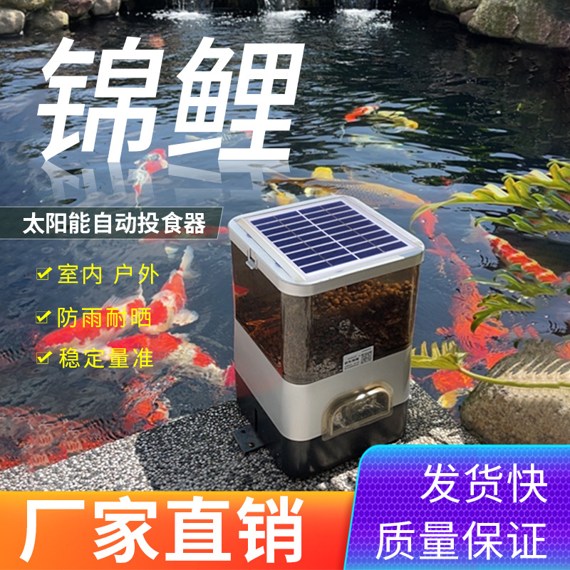 ˹KOI feederԶιʱͶιʳ