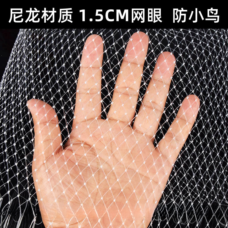 防鸟纱网丝网果树用网防鸟网水果大棚防小鸟的网尼龙果园谷子
