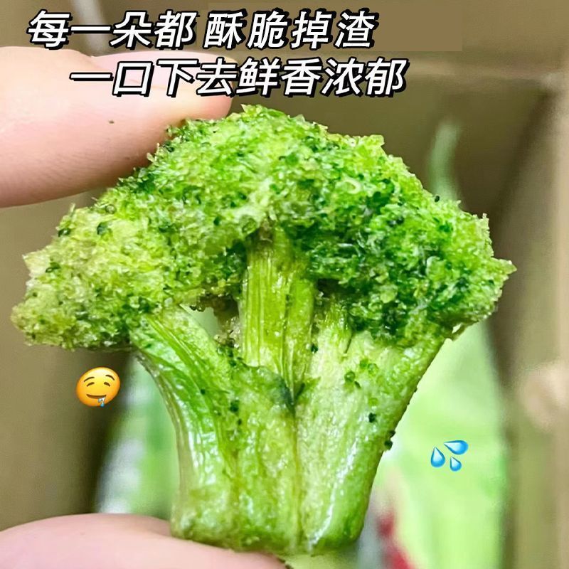 野菜ブロッコリー クリスピーフリーズドライ オフィス寮 すぐに食べられる栄養価の高いスナック 果物と野菜のクリスピー ヘルシー フルボックス|undefined