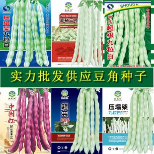 �ײ���ܿ���N�Ӿ����׸߮a�����Ѽܶ������ļ��߲˷N�ӏS�����l