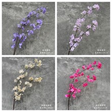 ���滨�滨����c���T·����·���廨�b��滨��Y���õ��Ż�c