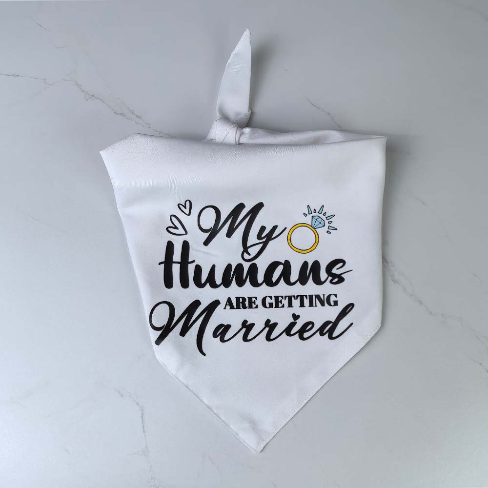 Nuevos productos transfronterizos toallas triangulares para perros pequeños, medianos y grandes, toallas de saliva para perros, bufandas para mascotas, toallas para perros de doble cara