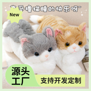 ؈����˯�Xܛ�����^Ƿ����؈����żë�q����L�l������ż���նY��