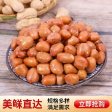 商用咸味油炸红衣花生下酒菜配菜散装点心休闲解馋小吃零食批发