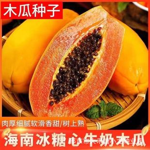 ����ľ�ϷN�ӱ�Ƥ������ţ��ľ�����̨ͥԺ�����ļ�ˮ���N�Ӵ�ȫ