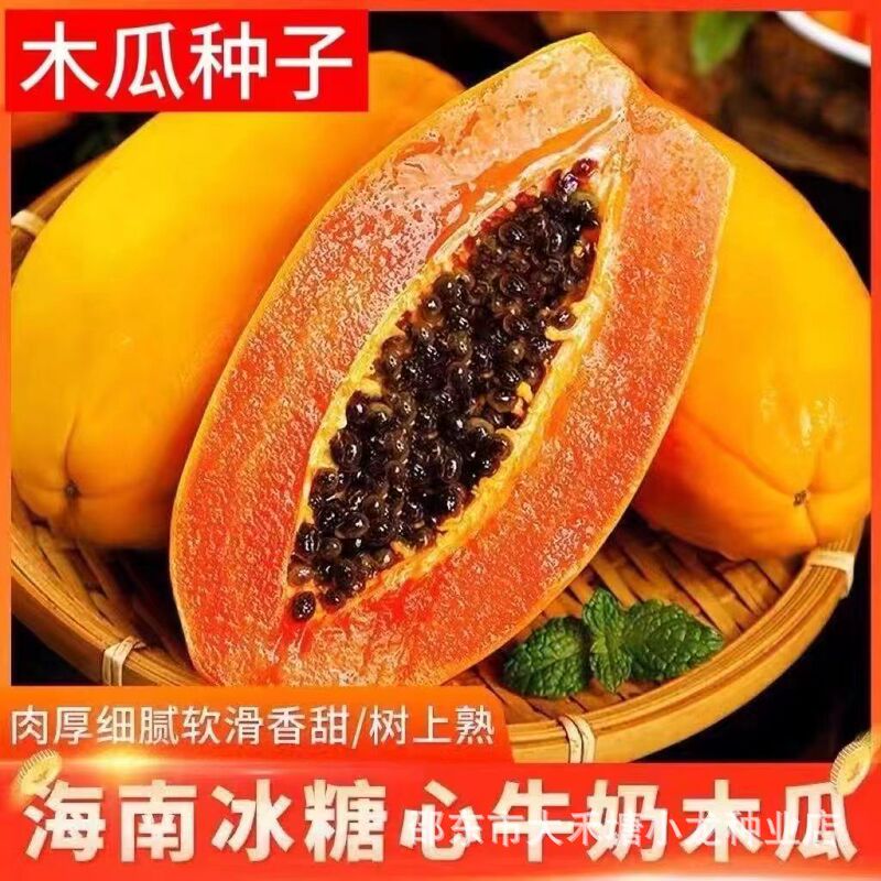 Cream Papaya Seeds Thin Skin Candy Heart Milk Papaya Seeds Balcony Courtyard Potted Four Seasons Fruit Seeds Cream Papaya Seeds Thin Skin Candy Heart Milk Papaya Seeds Balcony Courtyard Potted Four Seasons Fruit Seeds