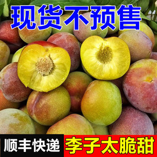 �����@�Fժ�������Ĵ�Ó�����ӿ����������t����t�����rˮ��