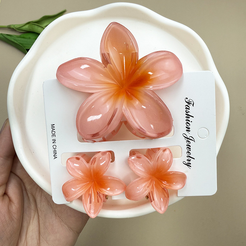 96g Weight Hair Claws Hair Accessories Type 1 Set Quantity Daily Occasion Plastic, Resin Material Plumeria Pattern All Seasons Season Women's Gender Stoving Varnish Design Cute Style Cute Women's Plumeria Plastic Resin Stoving Varnish Hair Claws 18