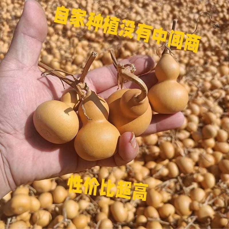 産地直発聊城瓢箪文游天然通品ストラップ|undefined