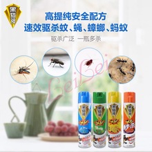 ��؈���x���F��600ML ������ ���� ������ �nω ���