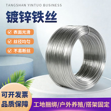 镀锌铁丝批发8号22号现货建筑工地园艺多用型防锈抗蚀电镀锌铁丝