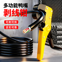 �๦�����섃���Q늹��Q�ӄ�Ƥ��Ƥ늹����ü����ž��Q�ྀ�����Q