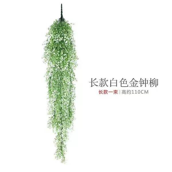 Long, white