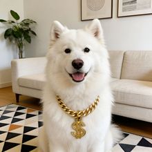 ���l�羳��ɫ�X�Ͻ𱬰l���������Ȧ؈��Ȧ؈���~��K�����Ʒ