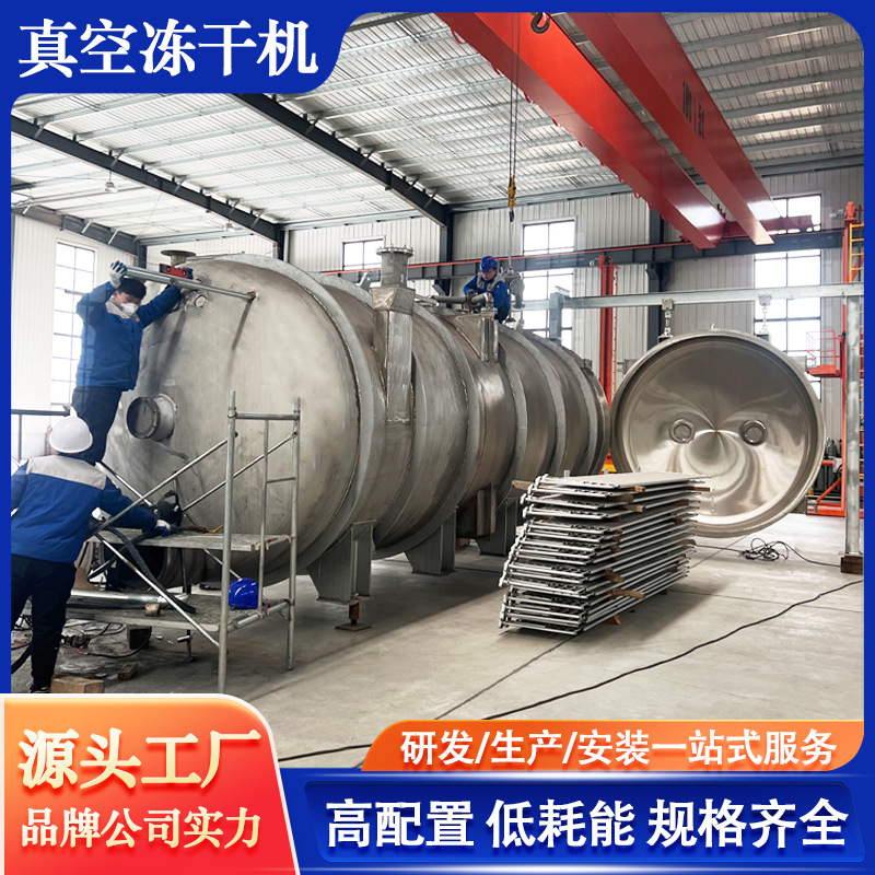 肉松海苔真空冻干机 姜茶粉低温FD冻干 发酵黑蒜真空冷冻干燥机